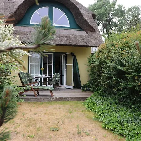 Haus Kienappel Haus Kienappel, App 01 Ahrenshoop